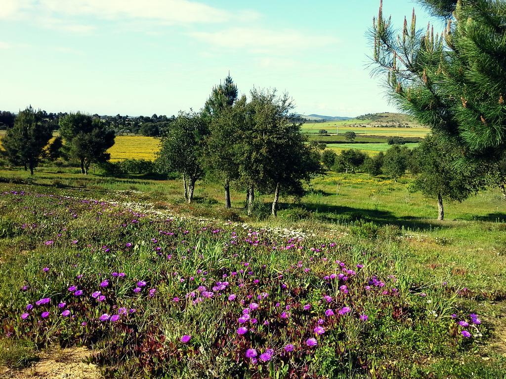 Gotas De Luar Turismo Rural Affittacamere Vila Nova de Milfontes Esterno foto
